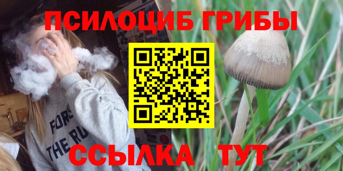 Галлюциногенные грибы MAGIC MUSHROOMS  Вход с VPN  Казань 